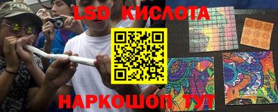 гашик Будённовск