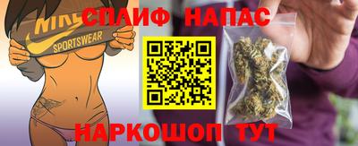 гашик Будённовск