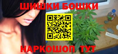 гашик Будённовск