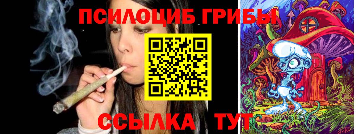 где купить наркотик  Псилоцибиновые грибы Magic Shrooms  Сунжа  Вход с VPN  Галлюциногенные грибы Magic Shrooms 